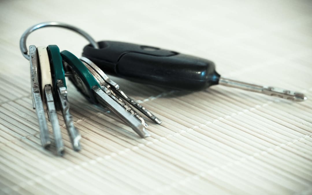 Locked Out? Your Complete Guide to What to Do Next