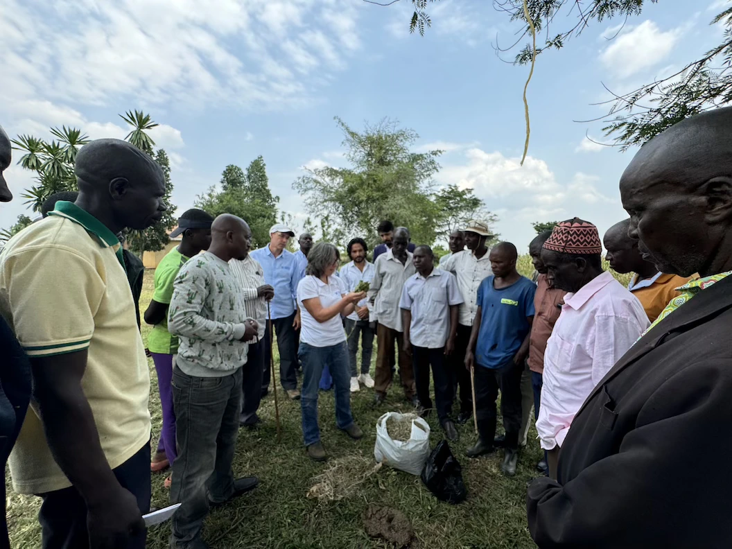 Regenerative Leadership Workshop