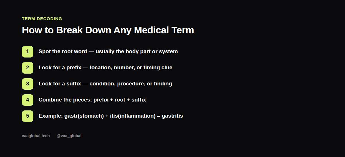 Medical term structure: prefix, root word, suffix