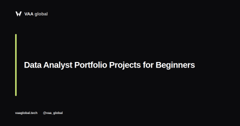 Data Analyst Portfolio Projects for Beginners — VAA Global