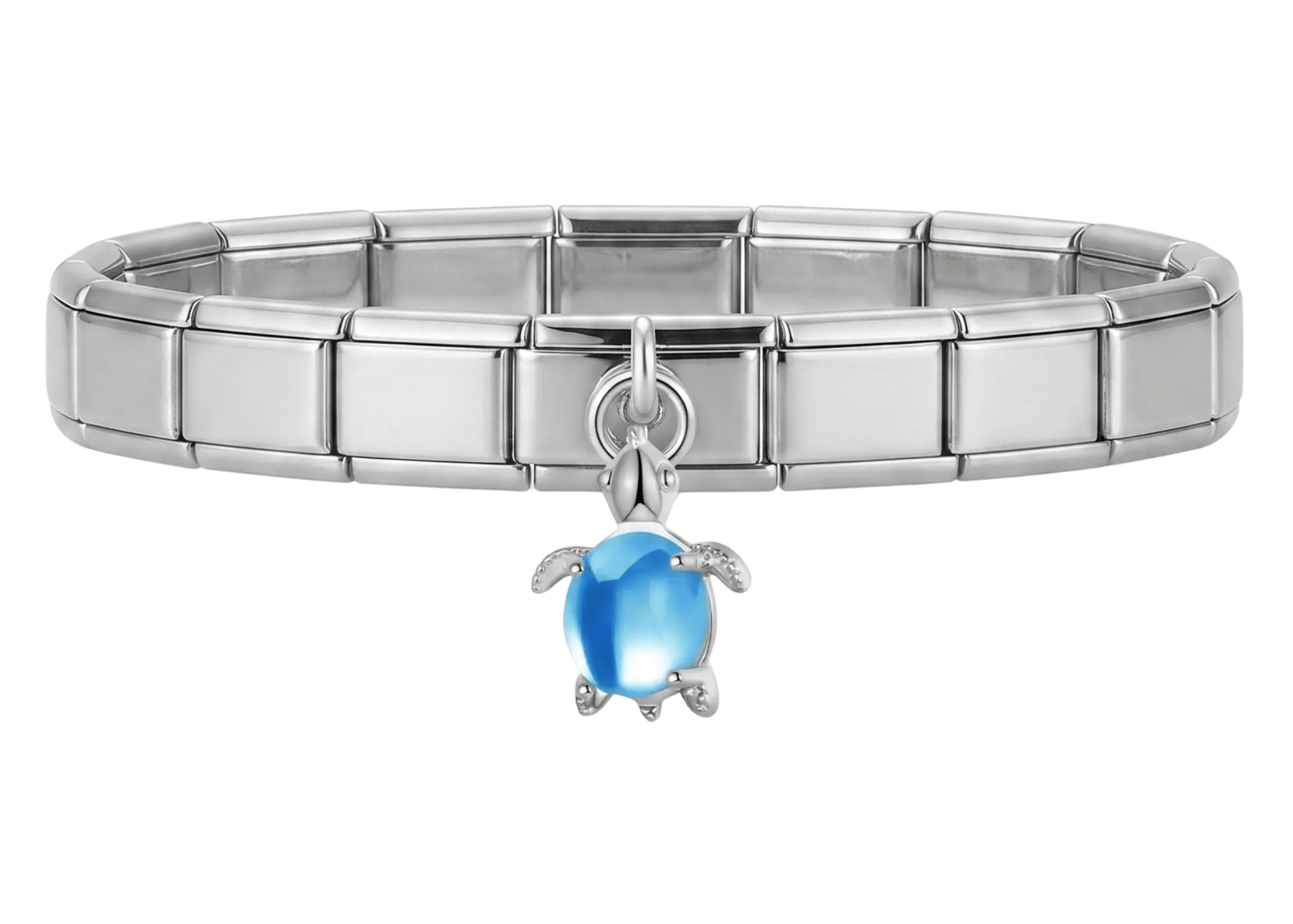 Tortuga Azul  - 2