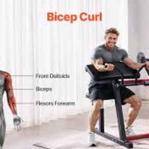 Muscle & Strength – Preacher Curl Bench