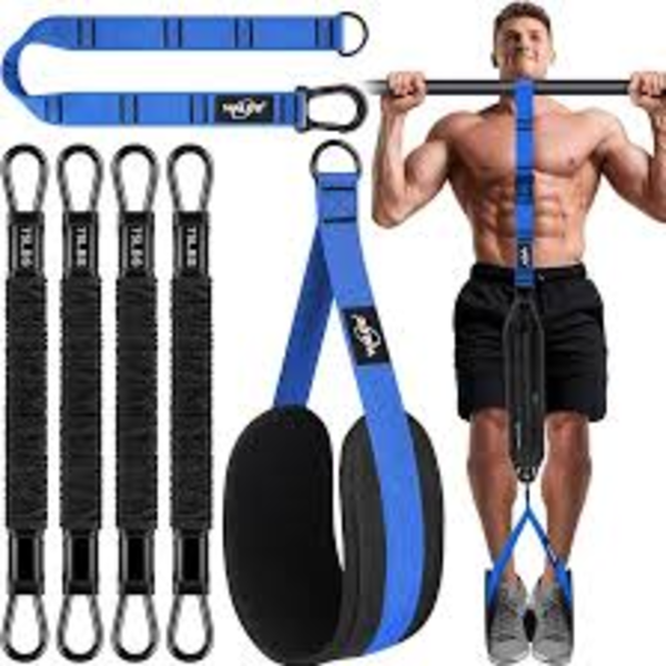 Bodyweight Calisthenics – Ab Wheel Rollout Trainer