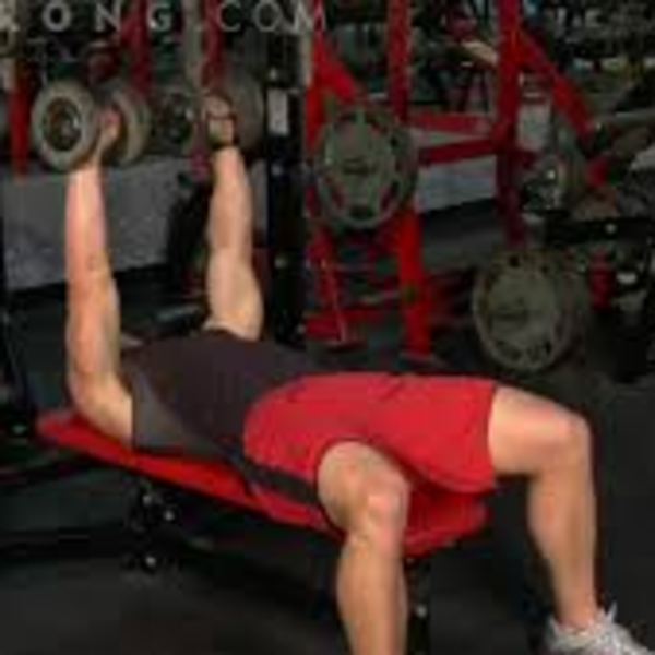 Dumbbell Training – Dumbbell Curl Bar Handle