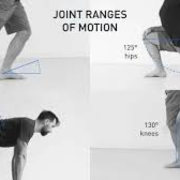 Mobility Training – Mobility Flow Programme