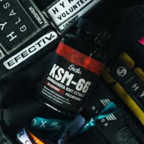 Supplements & Nutrition – Ashwagandha KSM-66 600mg
