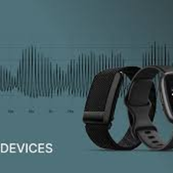 Wearable Tech – VO2 Max Estimator Watch