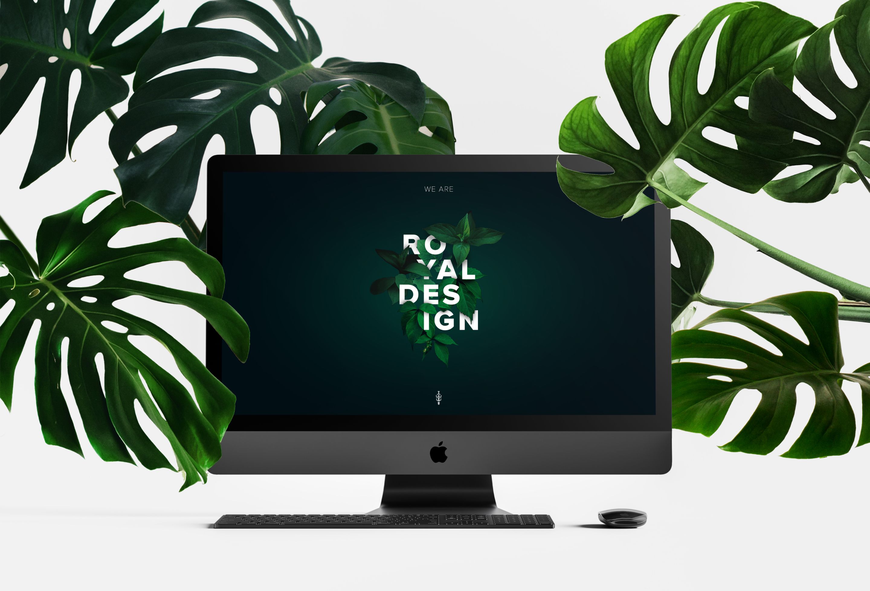 5fd7bf33b95e6900178ec7e7