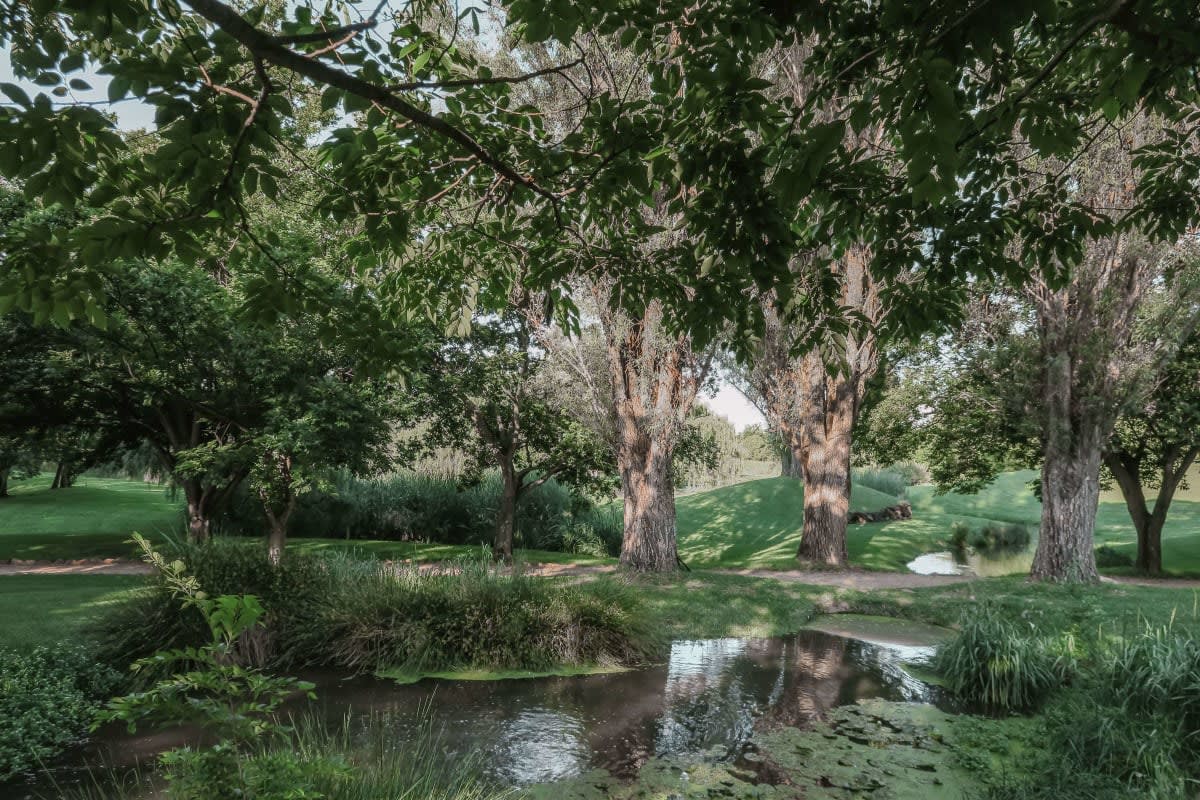 31 August 2025 at NIROX