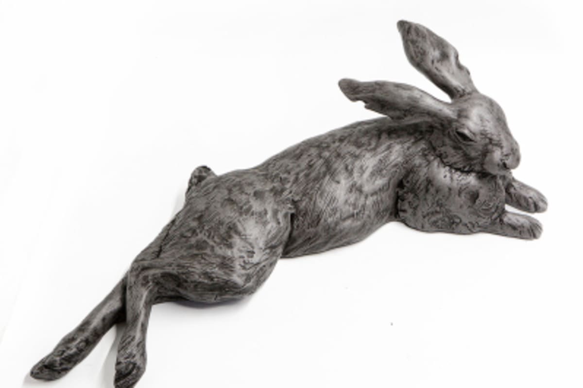 Carol Slabolepszy - My Hares and Graces