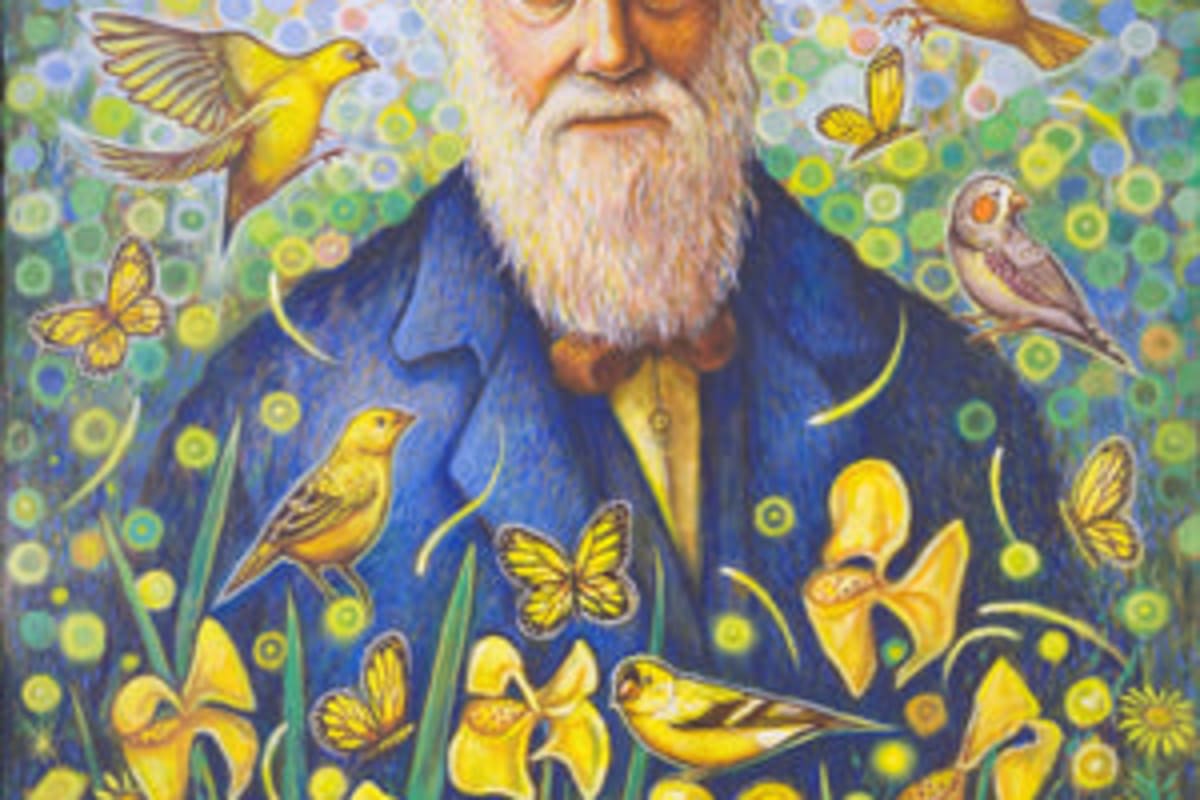 Darwin-The Art of Evolution - The Evolution of Art