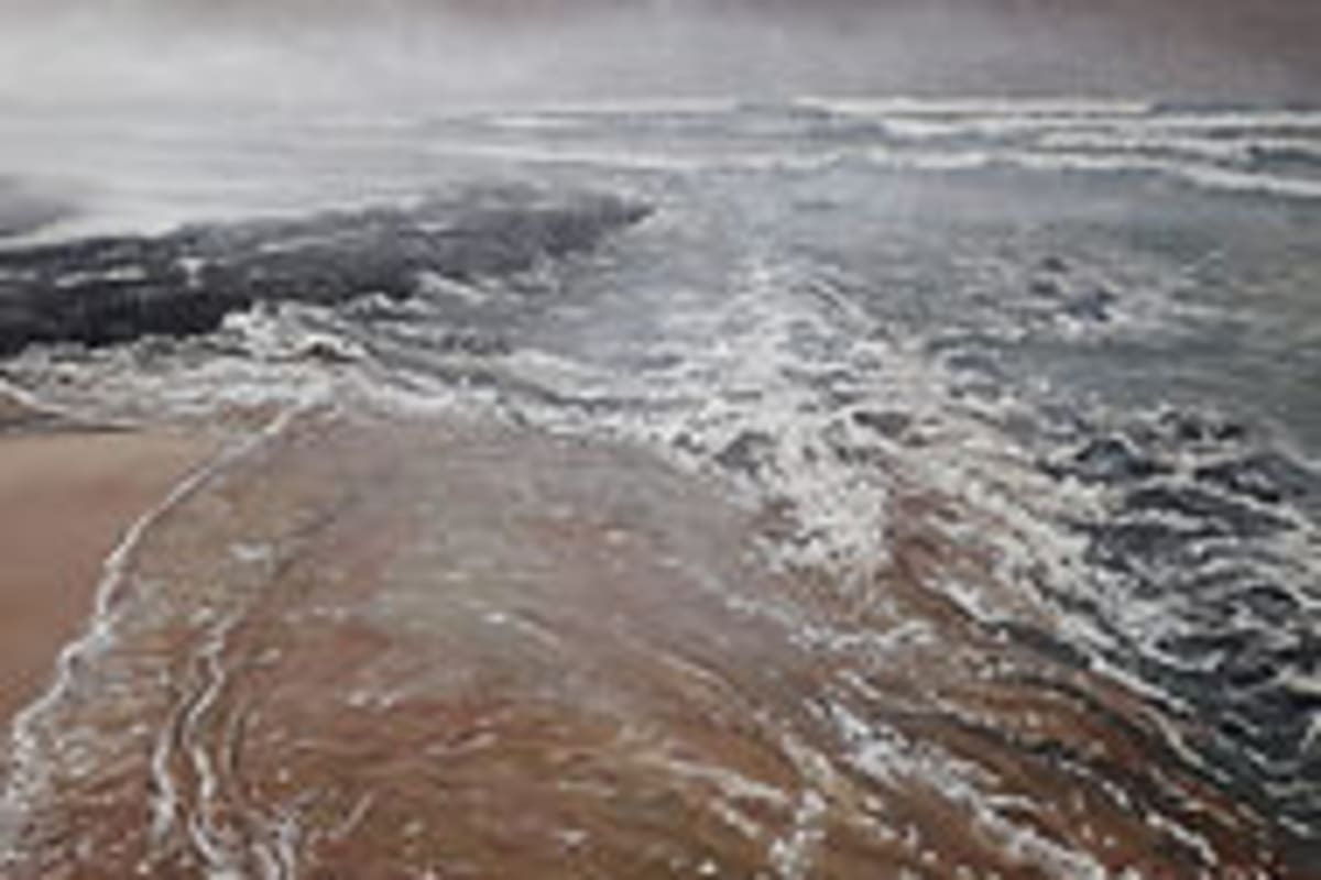 Greg Schultz Paintings and cut-outs