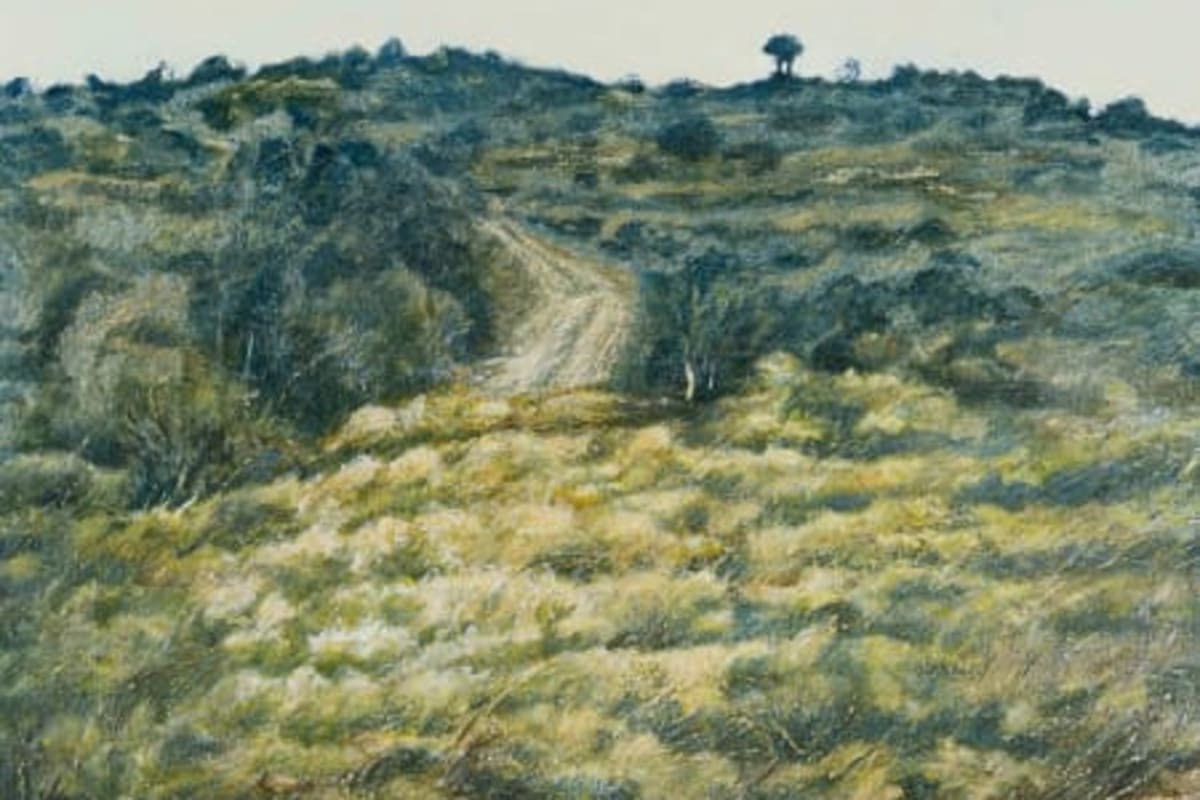 Horizons: Selected South African Landscapes and Seascapes