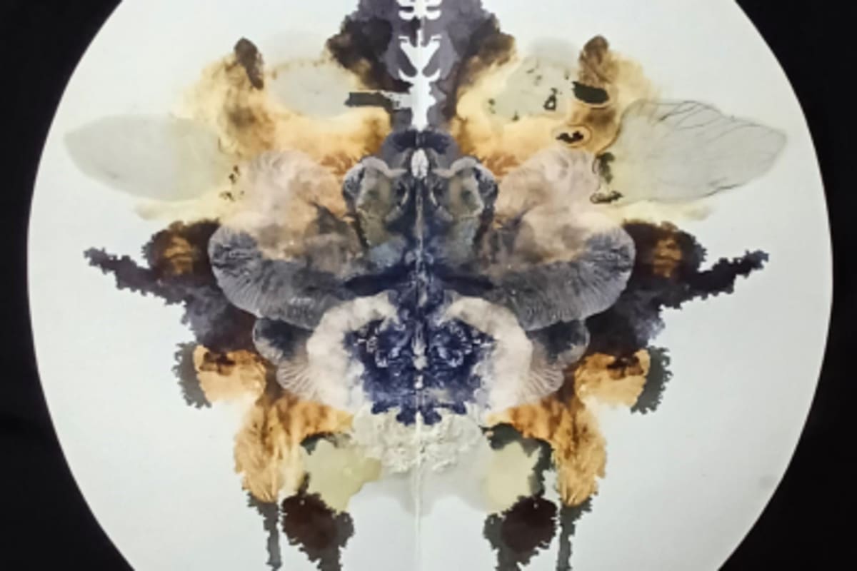 The future of South African visual art - Selected student work 2025