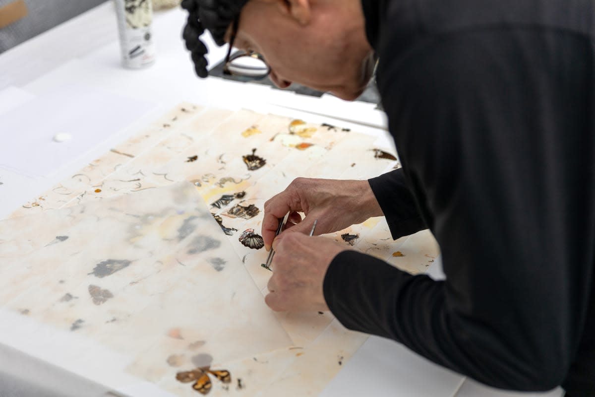 the violence of absence