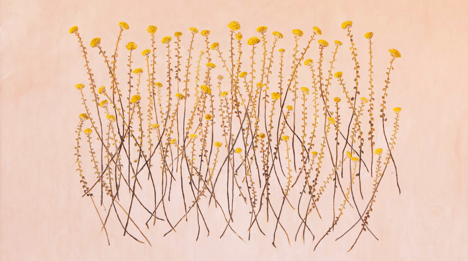 A Deep Sense of Belonging