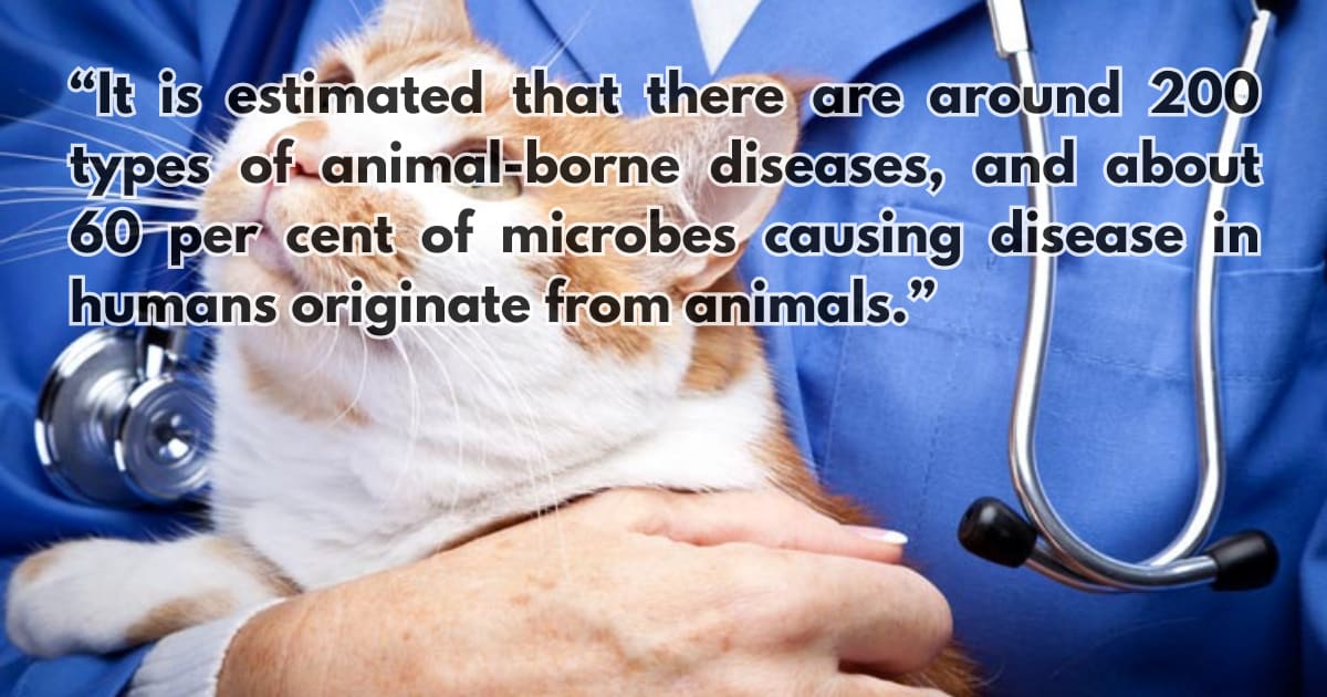 How to Stay Safe from Animal-Borne Diseases: A Guide to Prevention