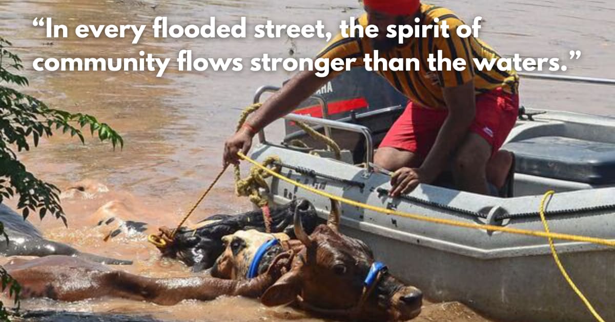 Punjab Floods: Thousands Stranded on Rooftops Await Relief