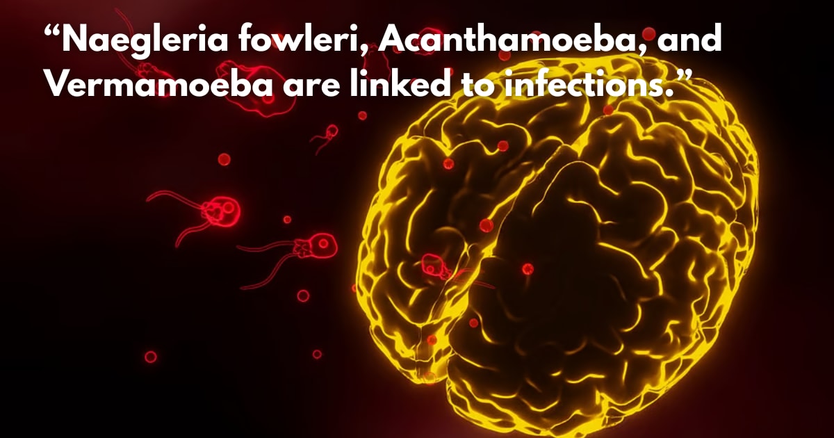 Amoebic Meningoencephalitis: Why Treatment is Delayed & What to Know