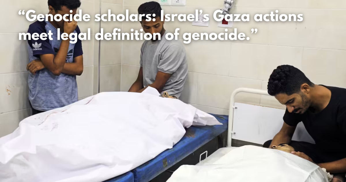 Genocide Scholars: Israel's Actions in Gaza Meet Legal Definition
