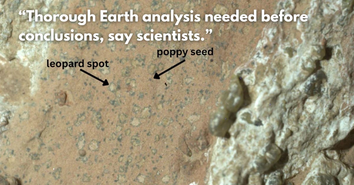 NASA Rover Finds 'Strongest Hint Yet' of Ancient Life on Mars