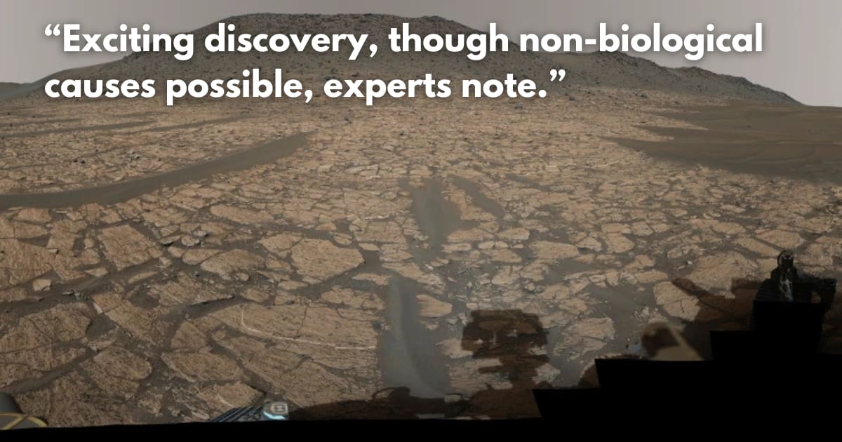 NASA Rover Finds 'Strongest Hint Yet' of Ancient Life on Mars