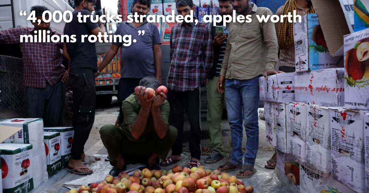 Kashmir Apple Crisis: Growers Watch Harvest Rot on Blocked Highway
