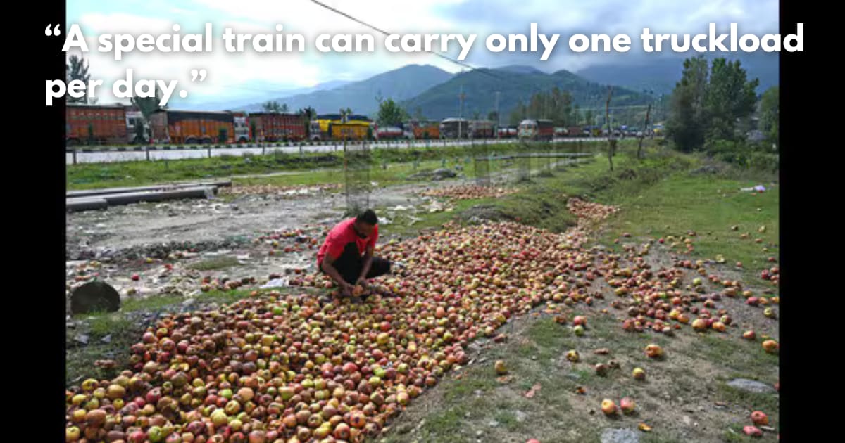 Kashmir Apple Crisis: Growers Watch Harvest Rot on Blocked Highway