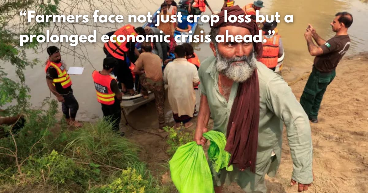 India Floods: Farmers Face Swelling Losses & Recovery Challenges