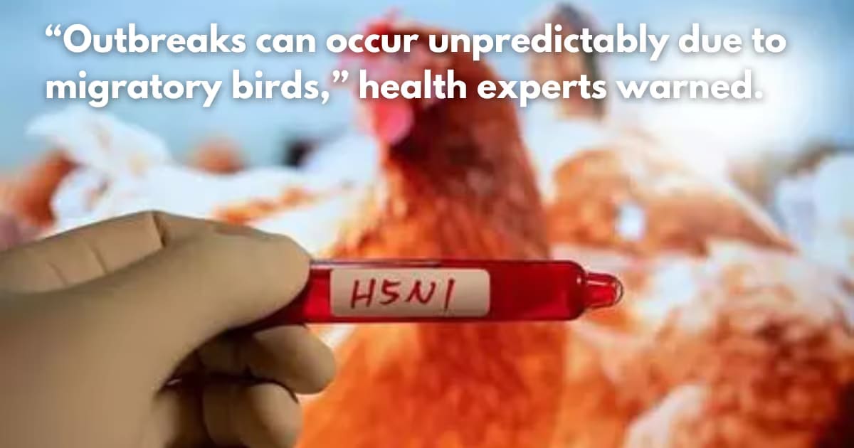 Japan Bird Flu Outbreak: First H5 Strain Case in Hokkaido Poultry Farm