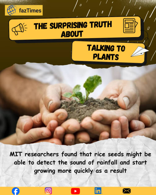 Scientists Reveal an Astonishing Ability of Plants Hearing Rain in Advance