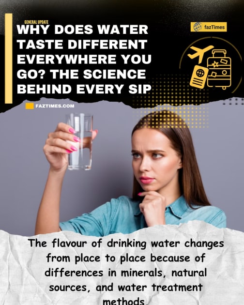 Why Does Water Taste Different Everywhere You Go? The Science Behind Every Sip