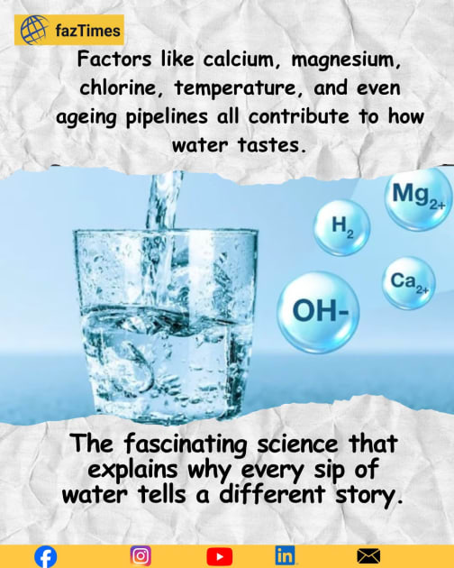 Why Does Water Taste Different Everywhere You Go? The Science Behind Every Sip