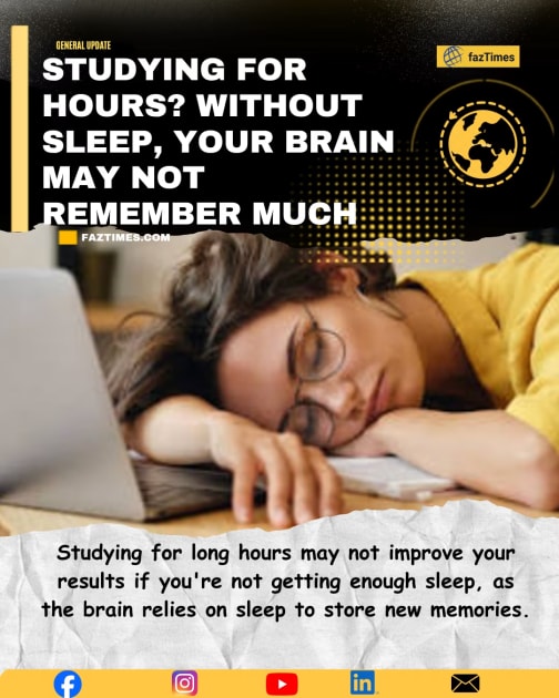 Studying for Hours? Without Sleep, Your Brain May Not Remember Much