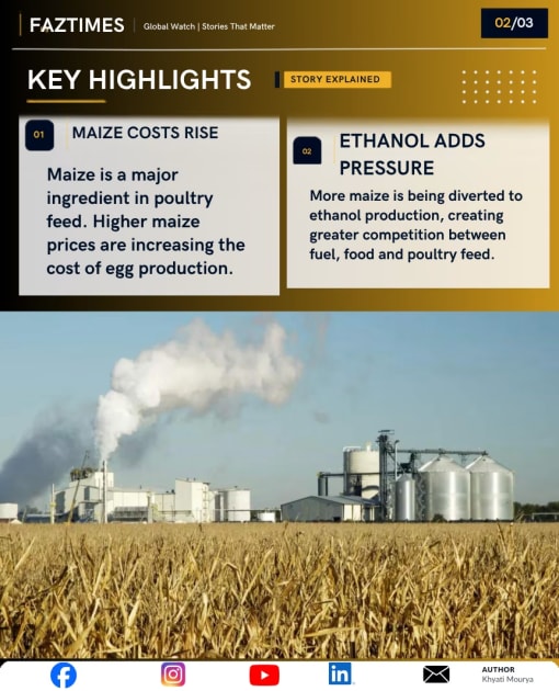 Egg Prices Rise 40%: Is Ethanol Making India’s Breakfast Costlier?