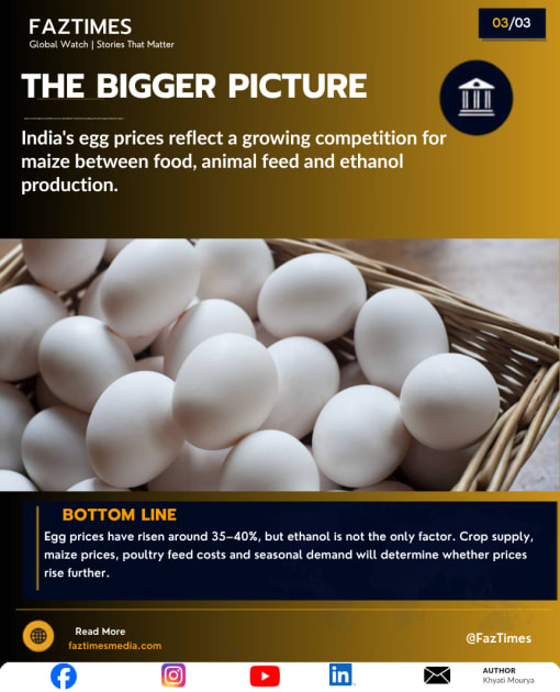 Egg Prices Rise 40%: Is Ethanol Making India’s Breakfast Costlier?