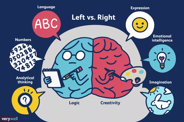 Left vs Right brain