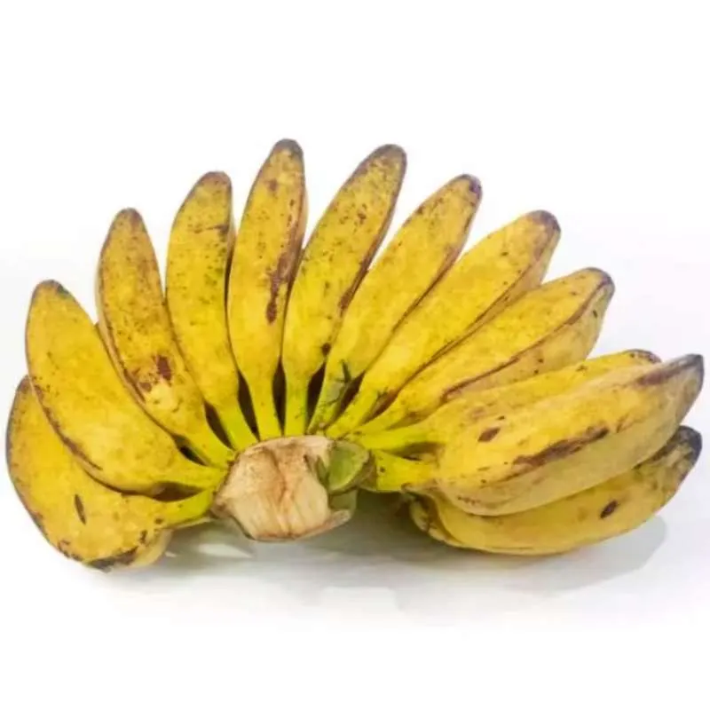 Burro Banana