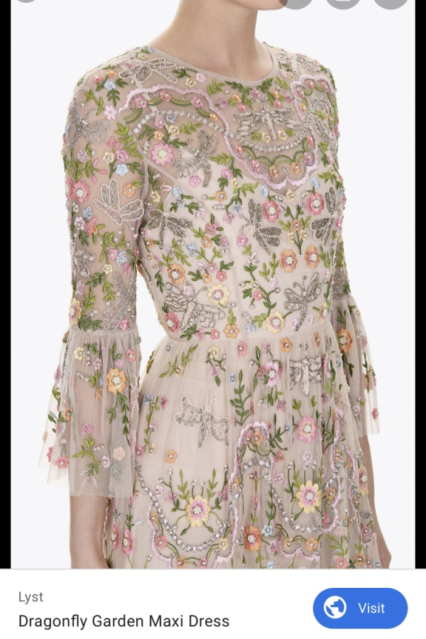 needle and thread dragonfly