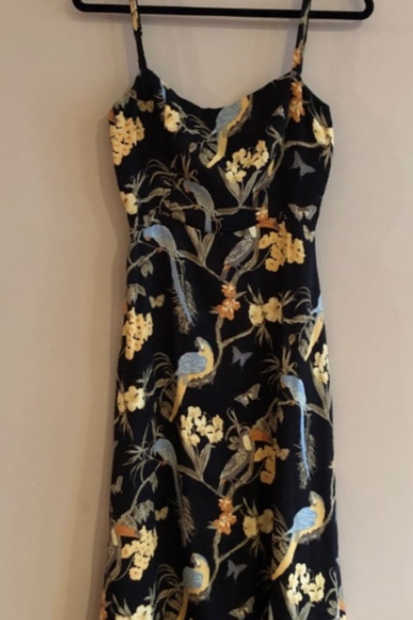 Rent Afternoon Aviary Bird Print Dress - Reformation | HURR