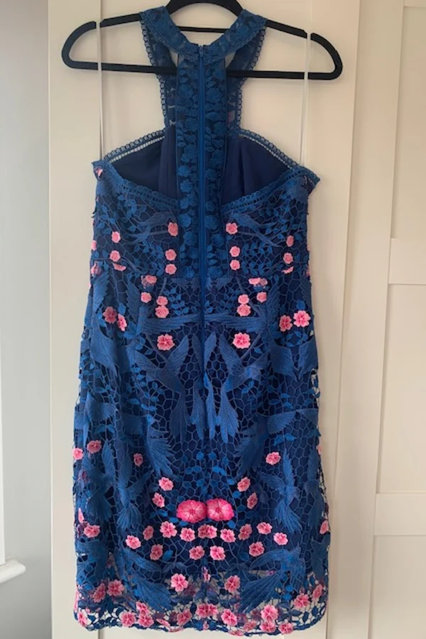 Rent Blue bird lace dress Marchesa Notte HURR
