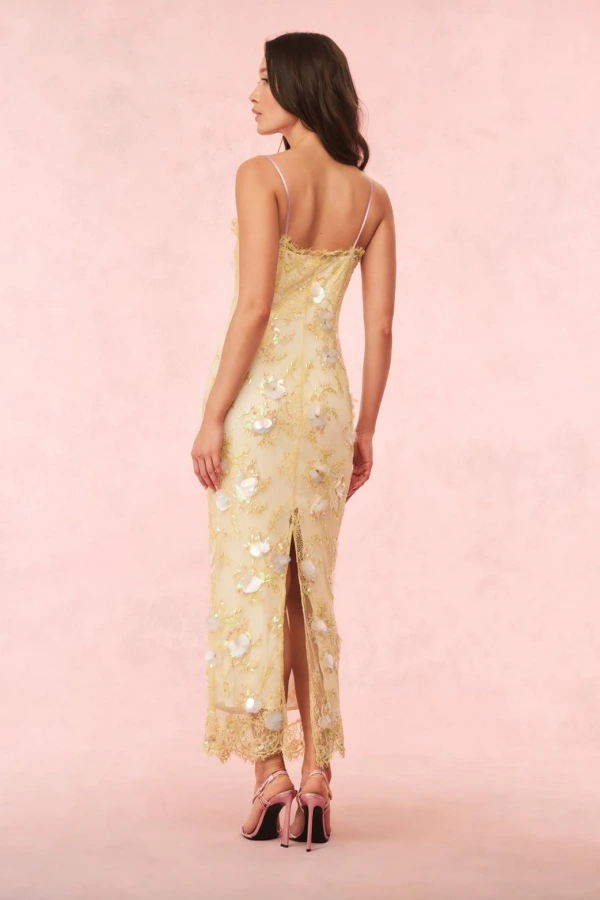 emalia embellished lace maxi dress Auerlia Lace Maxi Dress