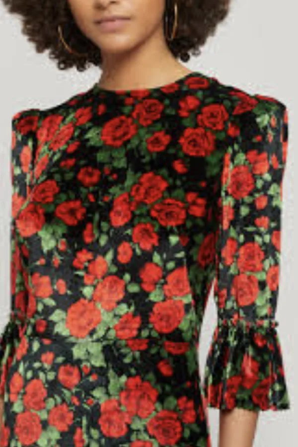 Rent Wild rose full length velvet dress - THE VAMPIRE'S WIFE | HURR