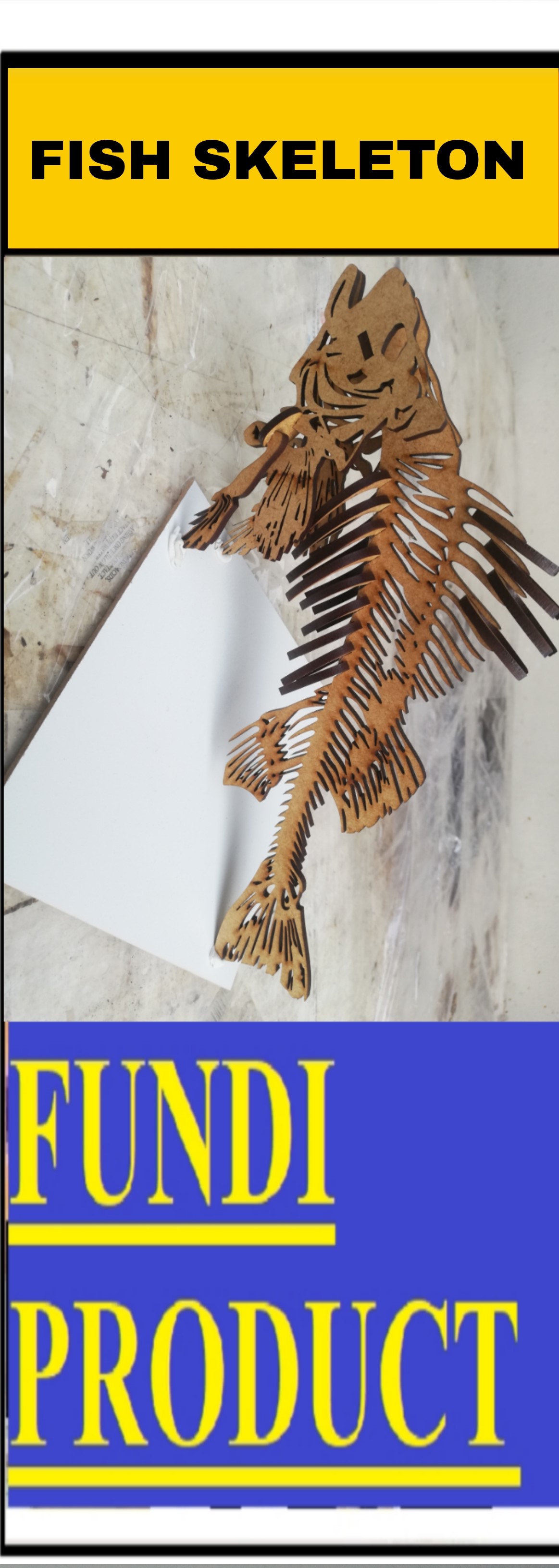 School Project Kit Fish Skeleton