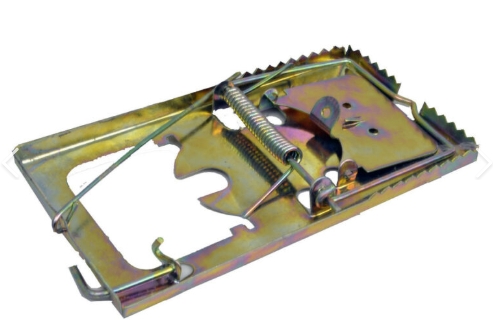 Rat Trap Metal