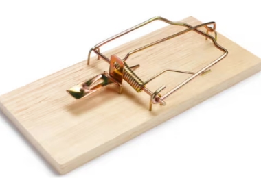 Rat Trap Wooden