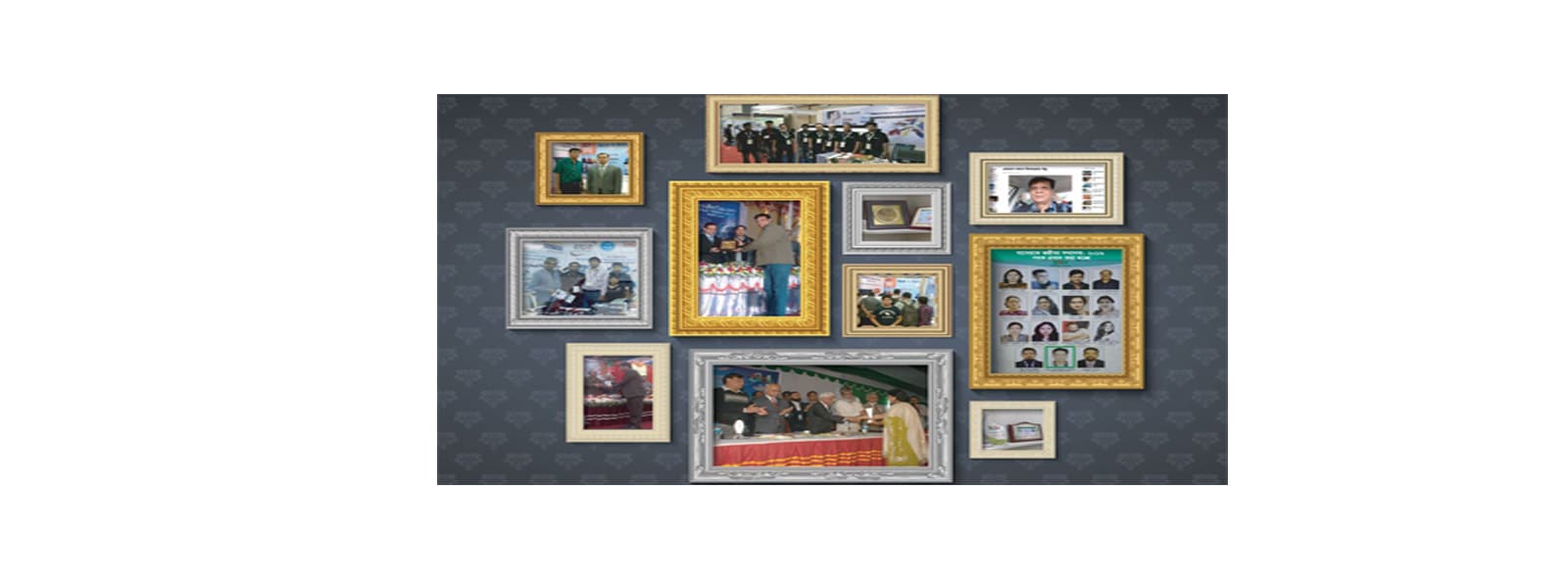 DCATEK company highlights
