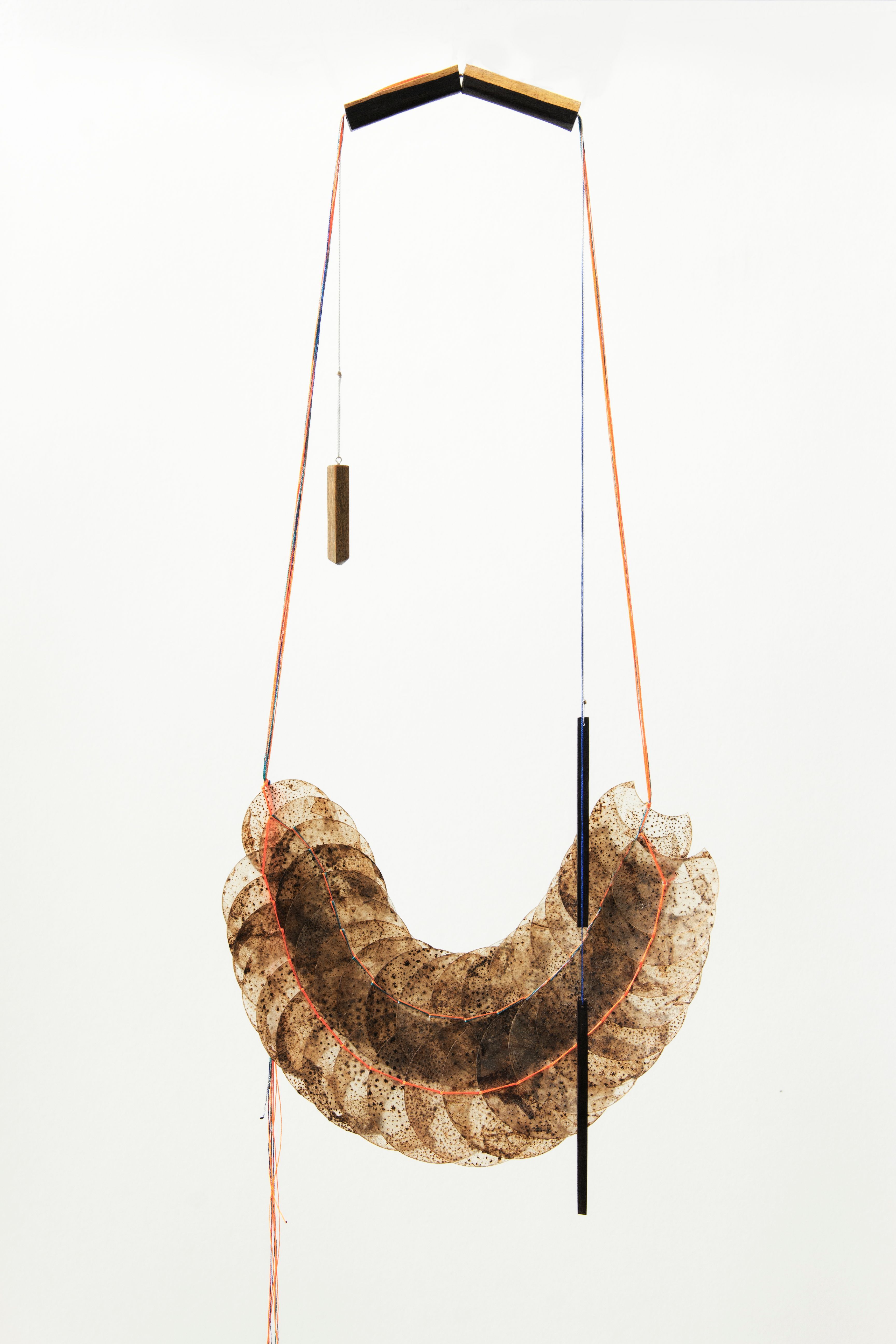 HINT/2016 - Image 12