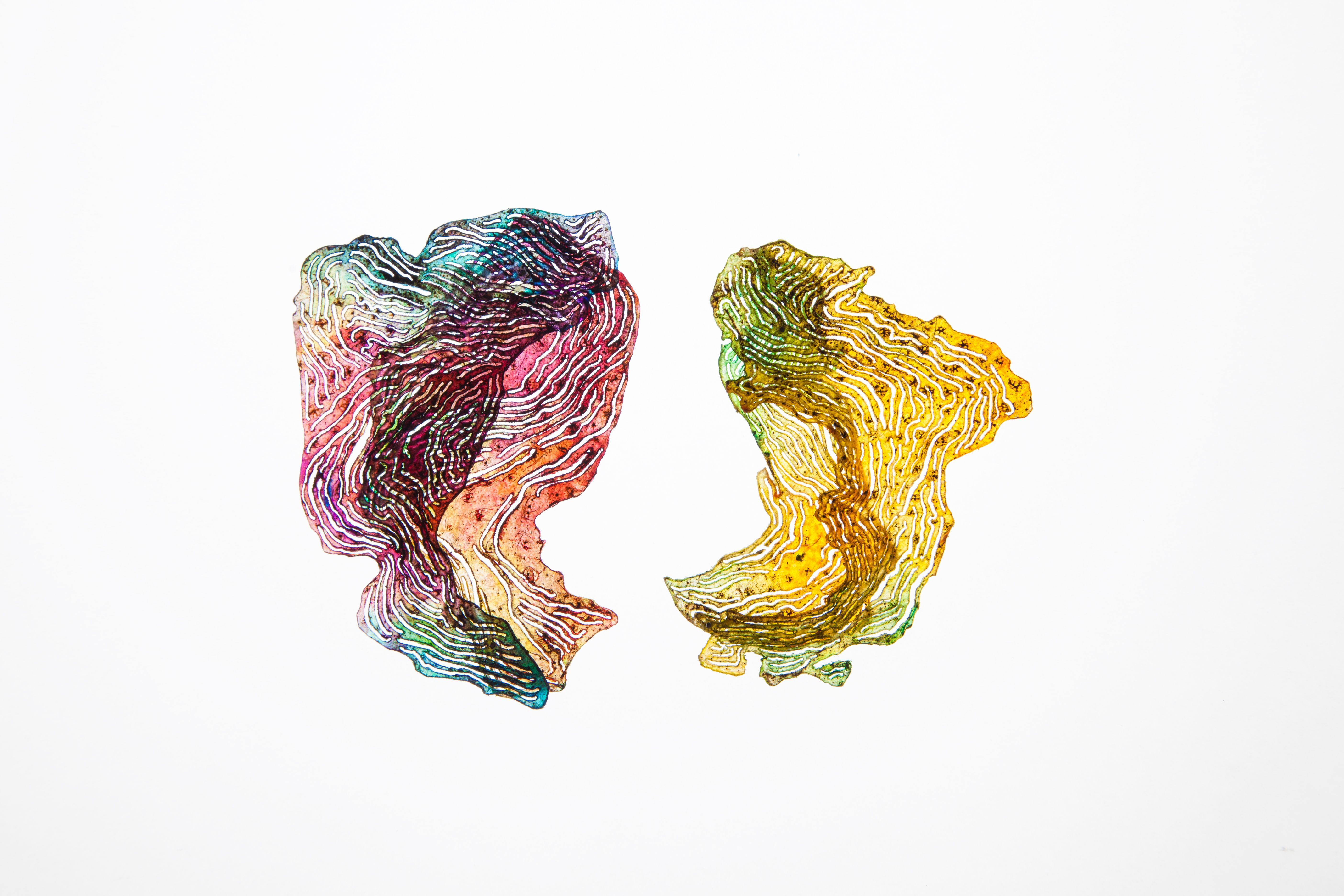 HINT/2016 - Image 13