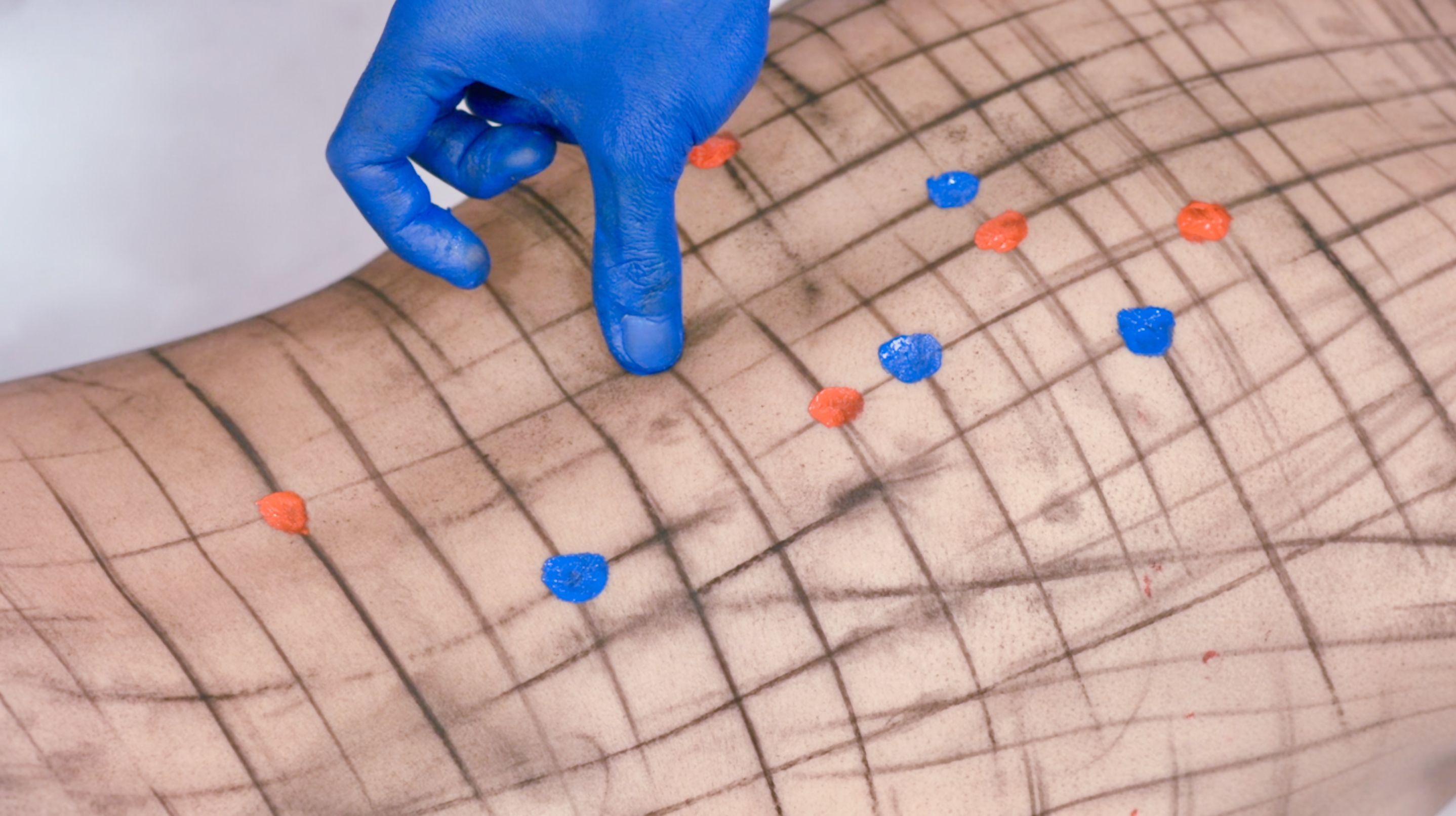 PLUM LINE / 2018 - Image 6